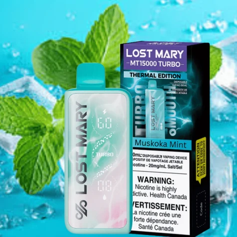 LOST MARY MT50000 TURBO Vape best