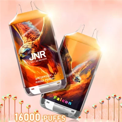 Jnr Falcon 16000 Puffs Vape